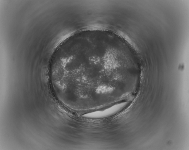 X0000093461213200710261013