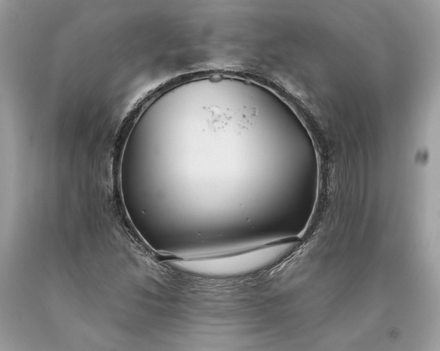 X0000093461214200710261013