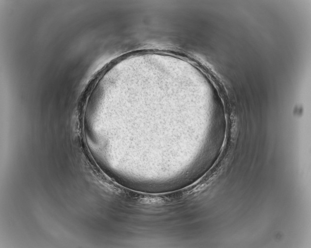 X0000093461215200710261013