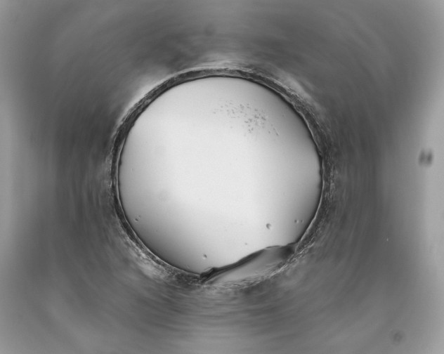 X0000093461216200710261013