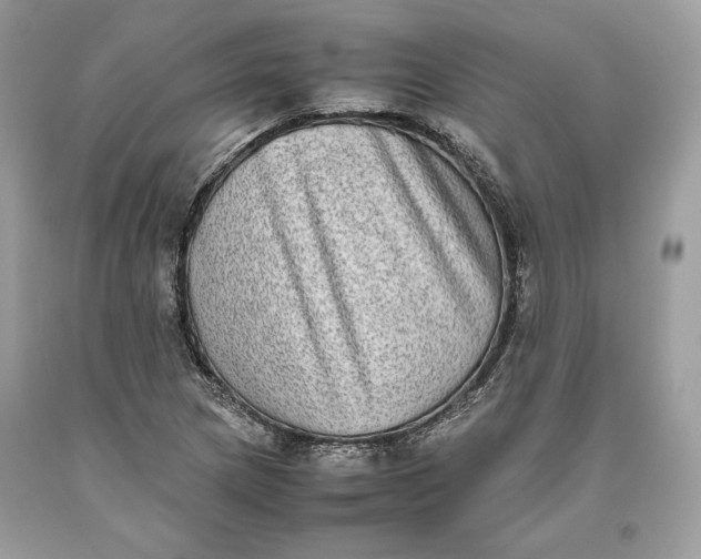 X0000093461217200710261013