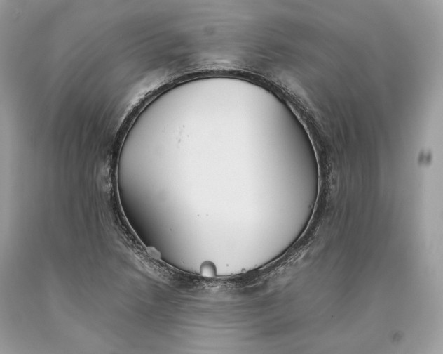 X0000093461218200710261013