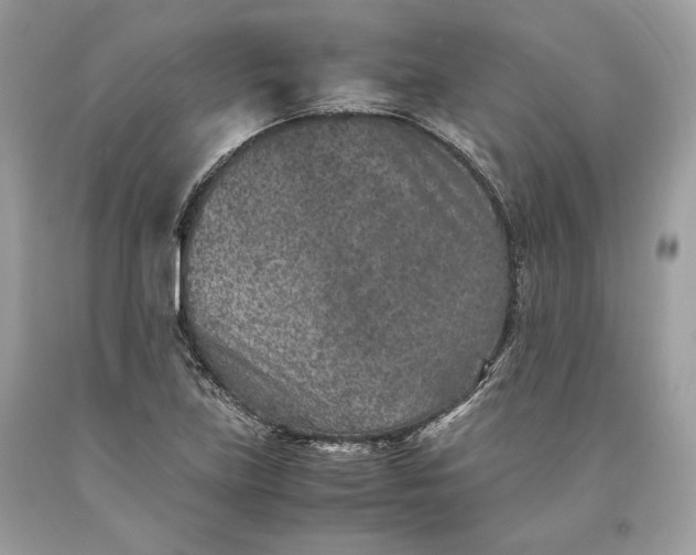 X0000093461219200710261013