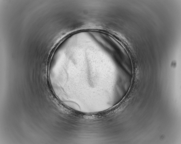 X0000093461220200710261013