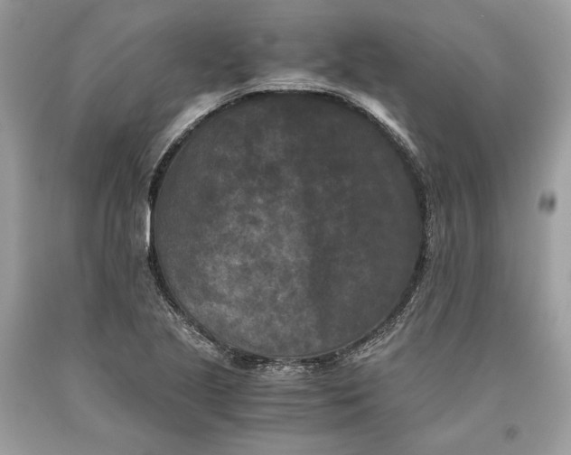 X0000093461221200710261013