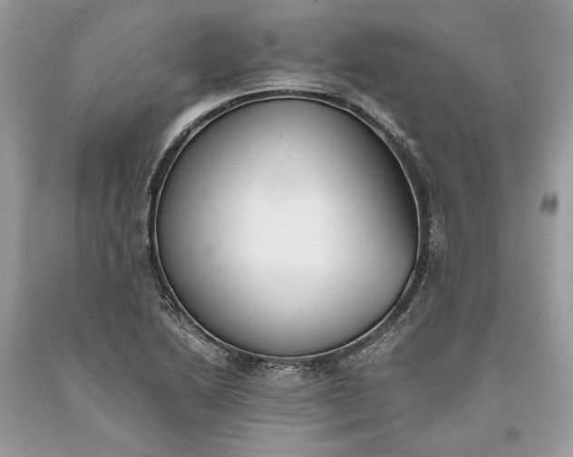 X0000093461222200710261013