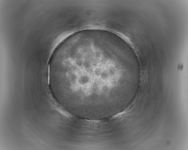 X0000093461223200710261013