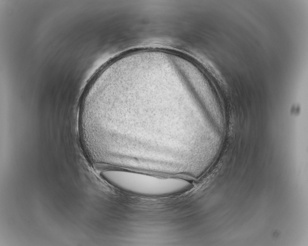 X0000093461224200710261013