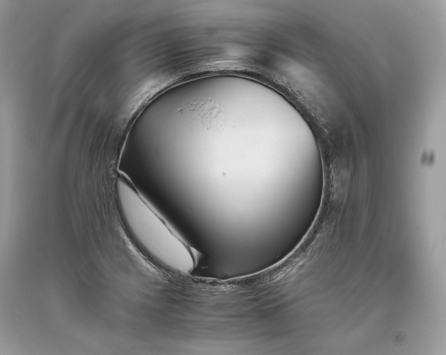 X0000093461225200710261013