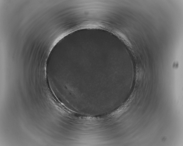 X0000093461226200710261013