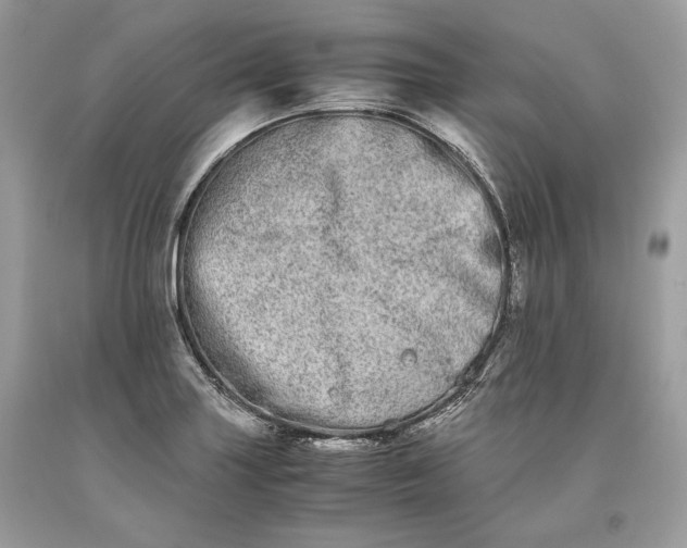 X0000093461227200710261013