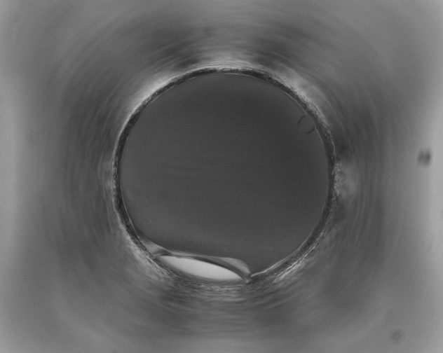 X0000093461229200710261013