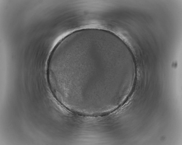 X0000093461230200710261013