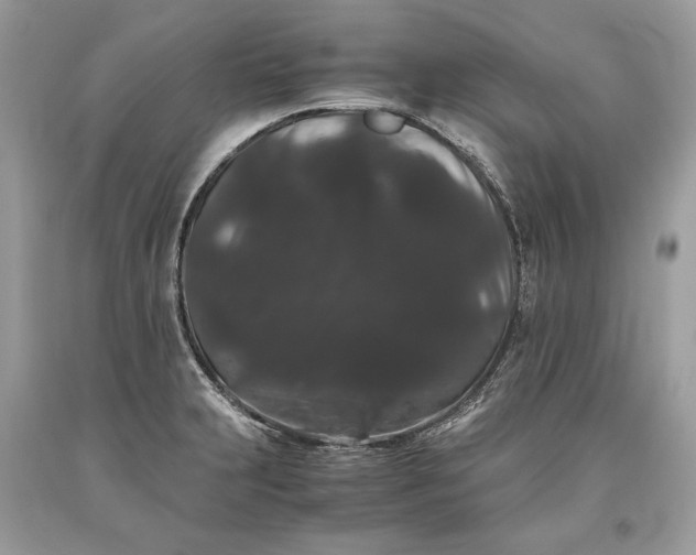 X0000093461231200710261013