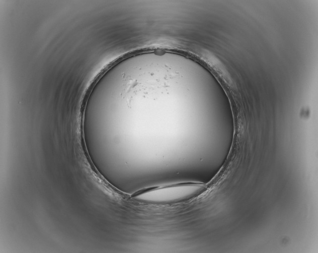 X0000093461232200710261013