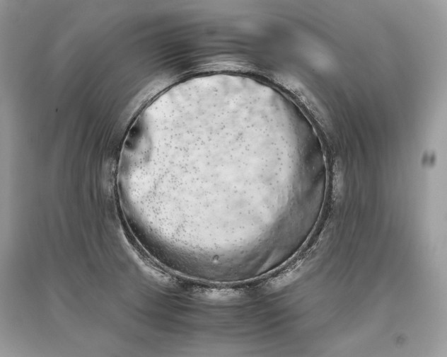 X0000093461233200710261013