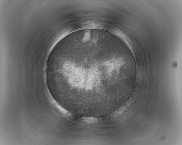 X0000093461235200710261013