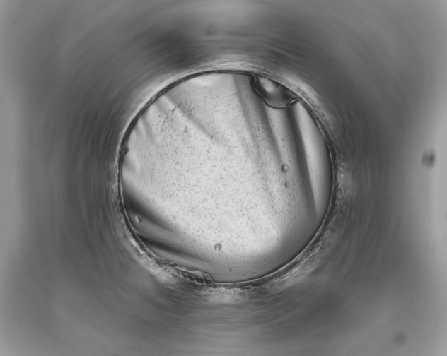 X0000093461236200710261013