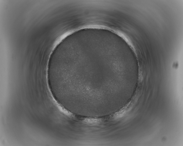 X0000093461237200710261013