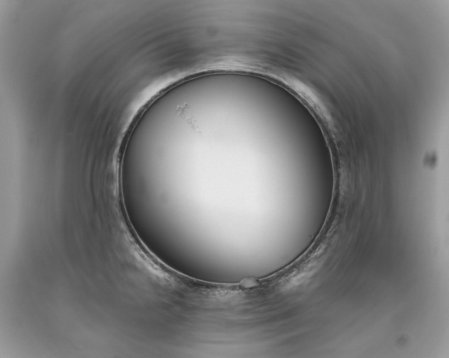 X0000093461238200710261013