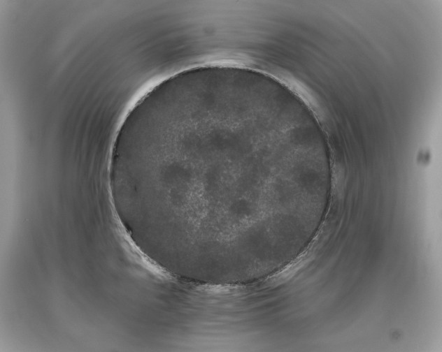 X0000093461240200710261014