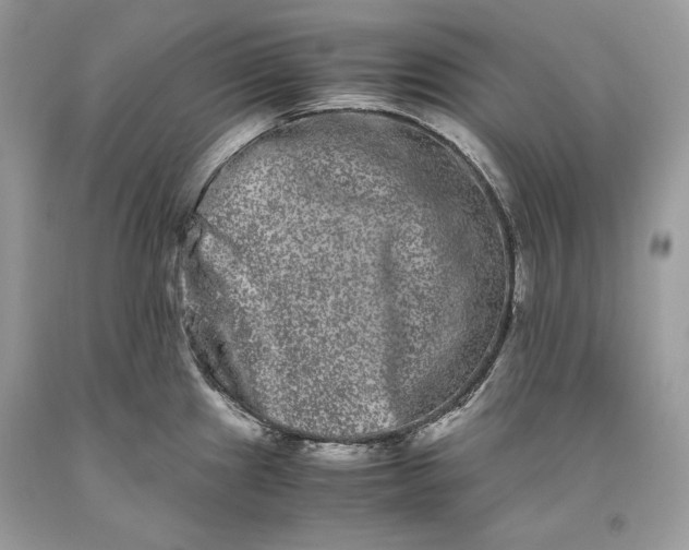 X0000093461241200710261014