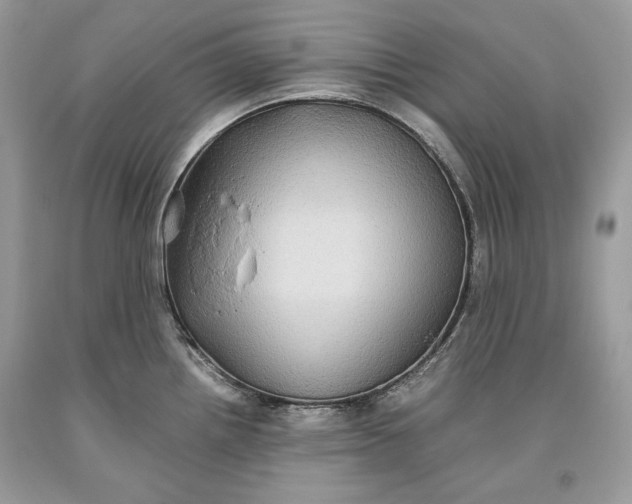 X0000093461242200710261014