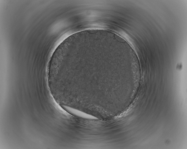 X0000093461243200710261014