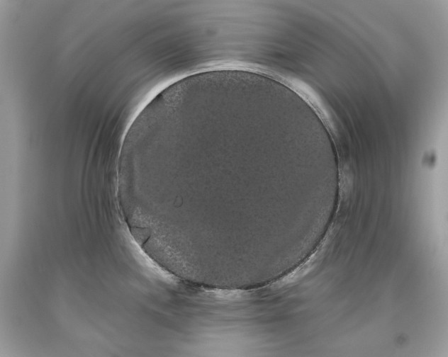 X0000093461244200710261014