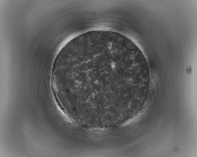 X0000093461245200710261014