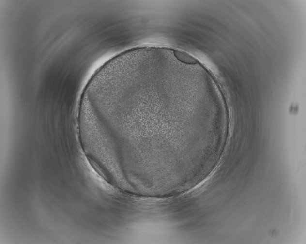 X0000093461248200710261014