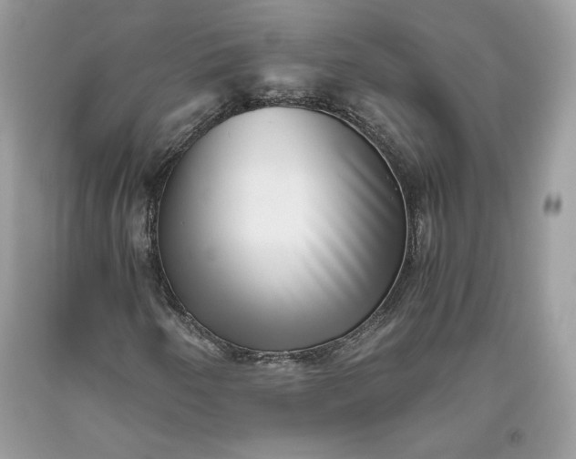 X0000093461250200710261013