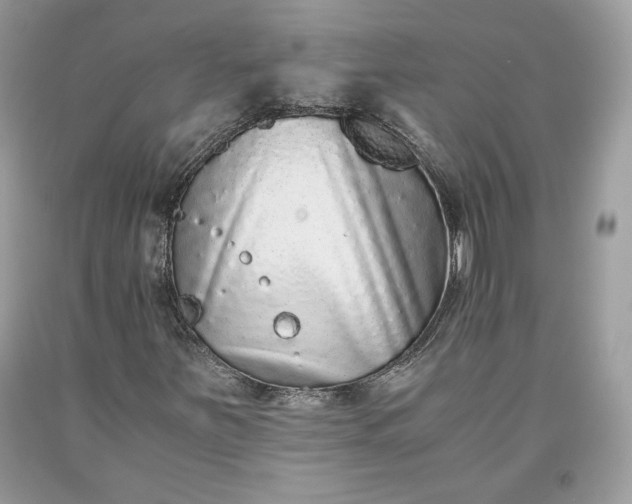 X0000093461251200710261013