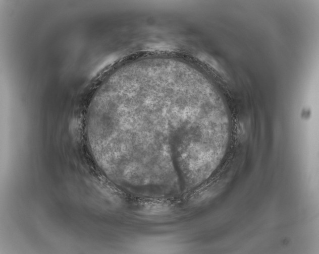 X0000093461254200710261013