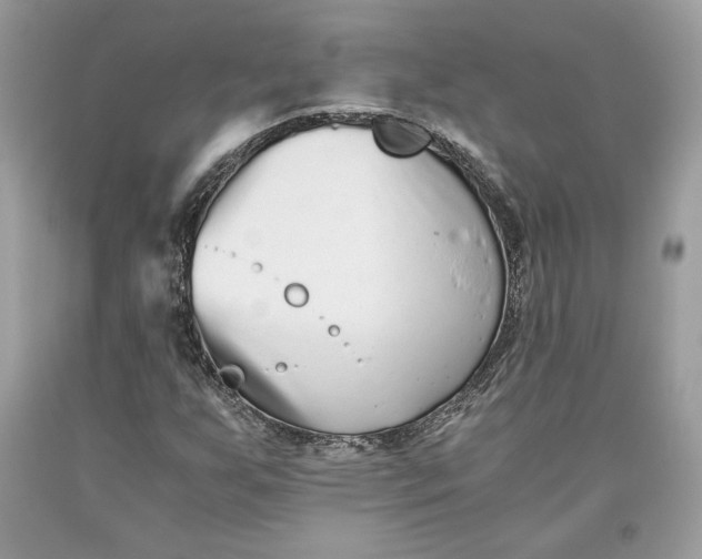 X0000093461255200710261013