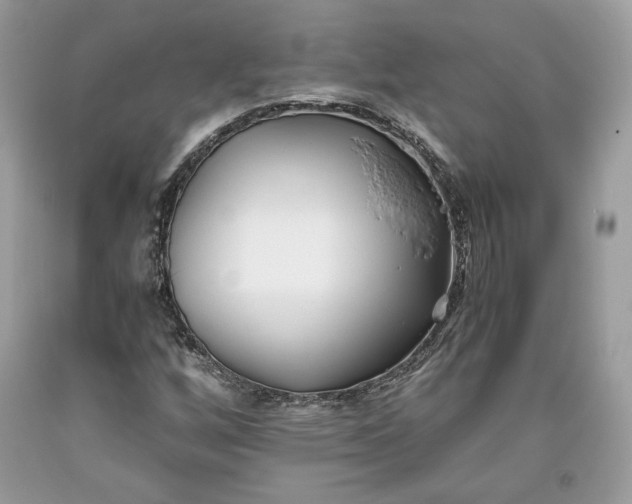 X0000093461256200710261013