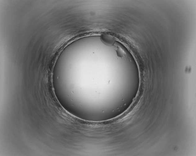 X0000093461257200710261013