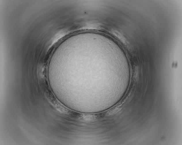 X0000093461258200710261013