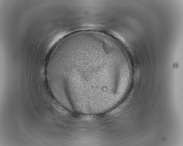 X0000093461259200710261013