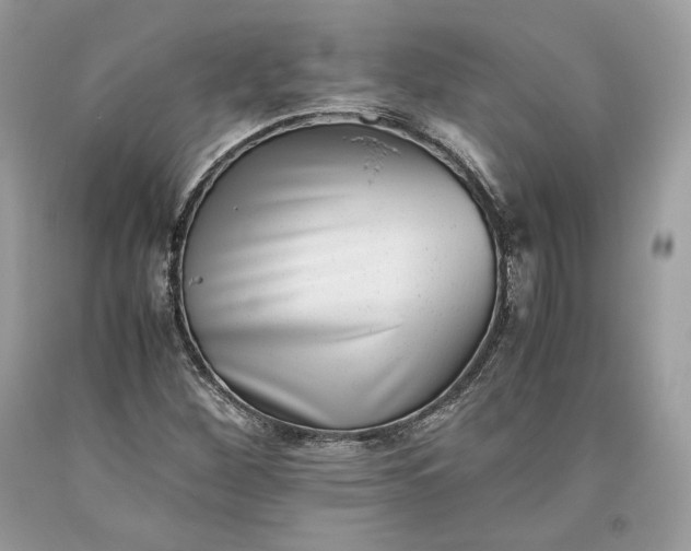 X0000093461260200710261013