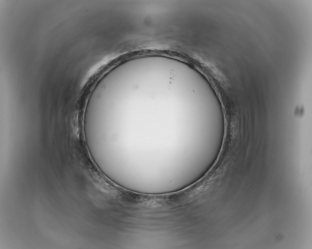 X0000093461262200710261013