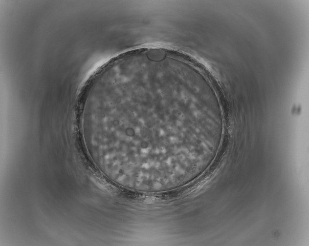 X0000093461263200710261013