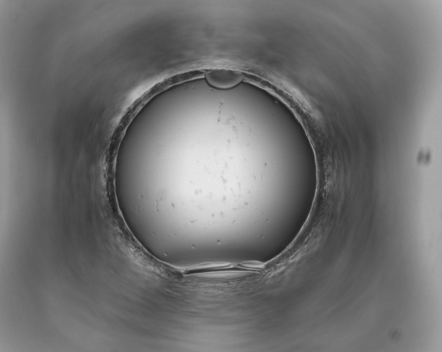 X0000093461264200710261013