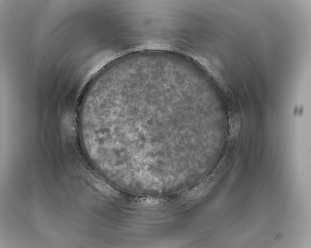 X0000093461266200710261013