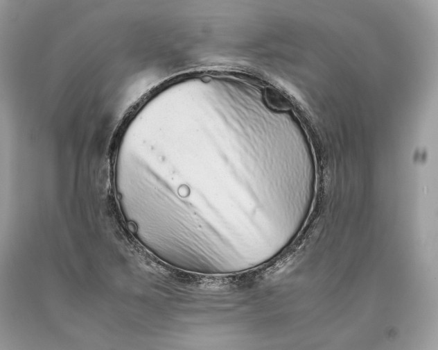 X0000093461267200710261013