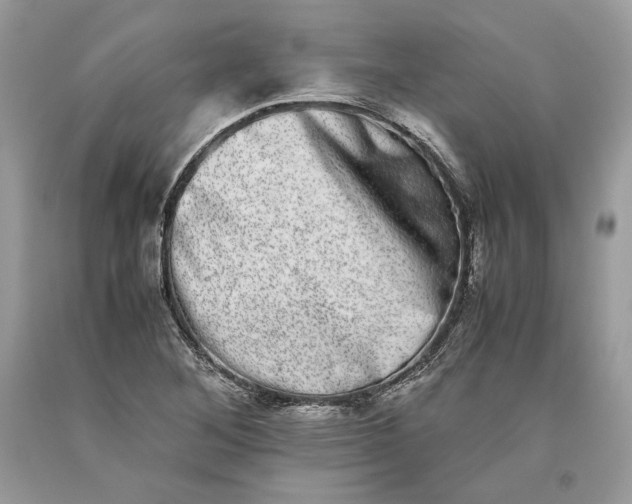 X0000093461268200710261013