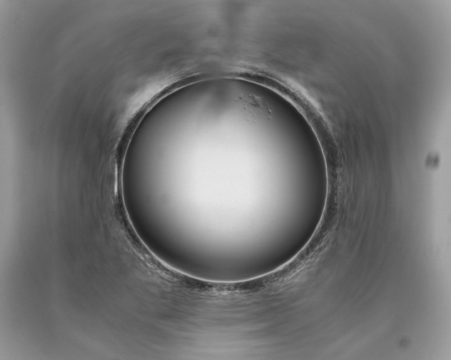 X0000093461269200710261013