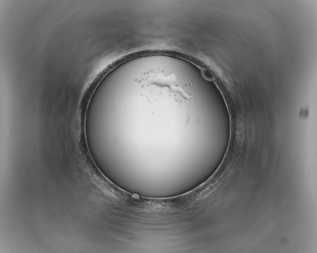 X0000093461270200710261013