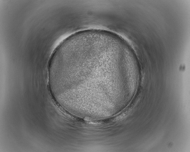 X0000093461271200710261013