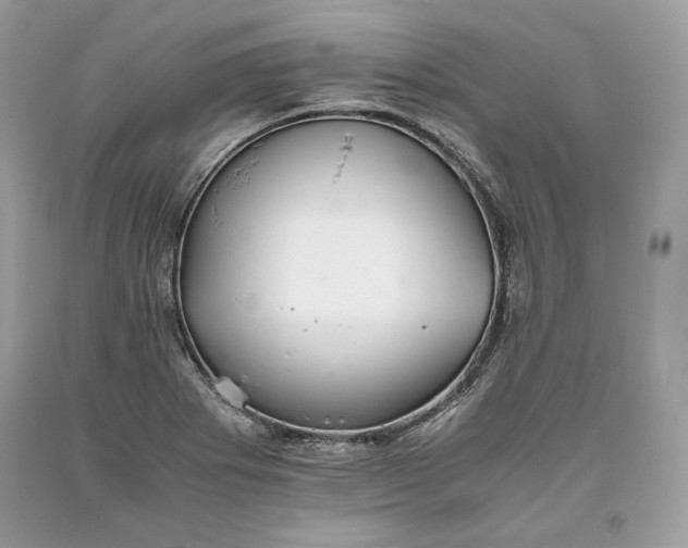 X0000093461273200710261013